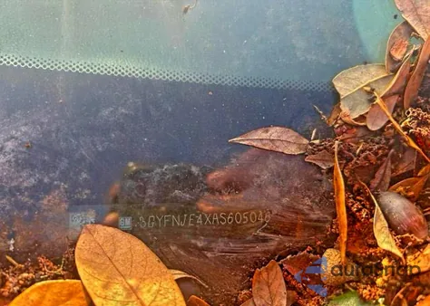 2010 Cadillac Srx Performance Collection z USA, uszkodzony, nr VIN 3GYFNJE4XAS605046